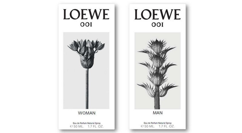 loewe-001-perfumes-for-men-and-women