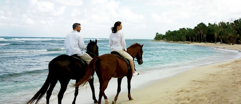 Luxurious Dates to Take Your Significant Other On-romantic horse riding