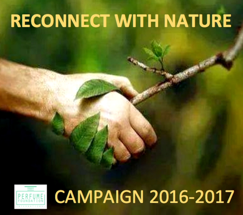 perfume-foundations-reconnect-with-nature-campaign-is-encouraging-natural-perfumery