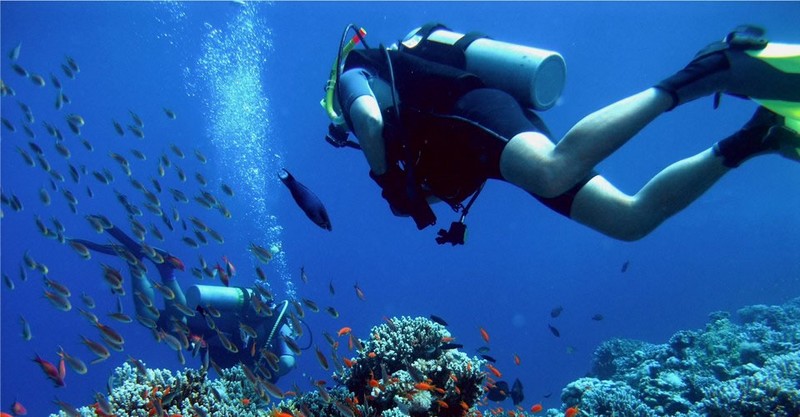 Sardinial attractions-Sardegna diving