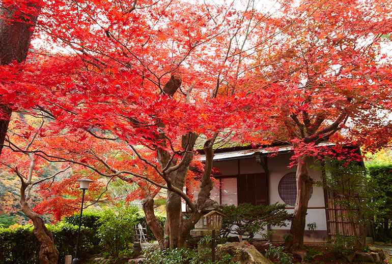 Suiran Luxury Hotel Kyoto