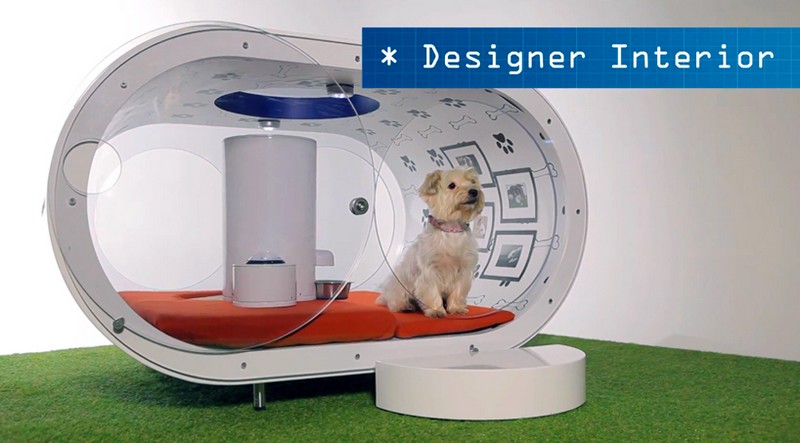 The Samsung Dream Doghouse 2015