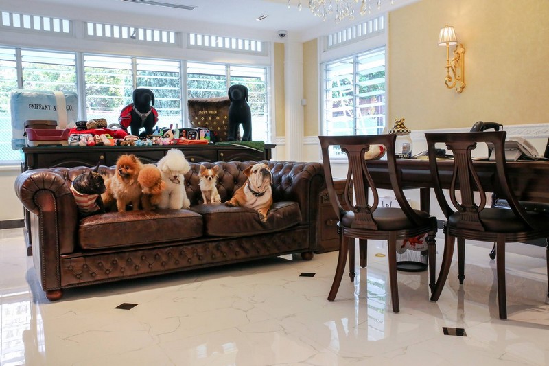 The Wagington Pet Hotel Lobby