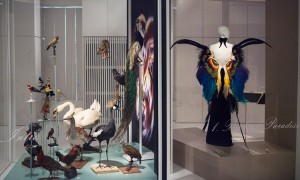 The opening gown of #birdsofparadise is designed by Thierry Mugler. The opening gown of #birdsofparadise is designed by Thierry Mugler.