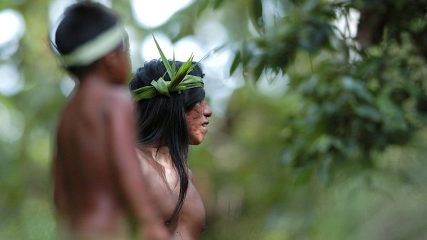 Tropic Journeys in Nature, Ecuador