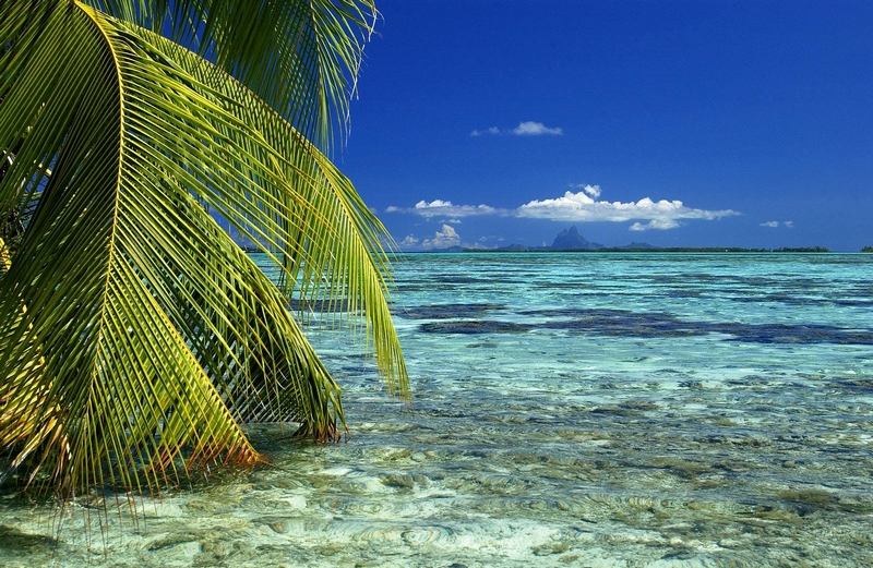 Vahine Island in French Polynesia-