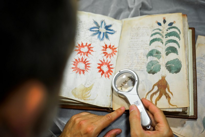 Voynich Manuscript-