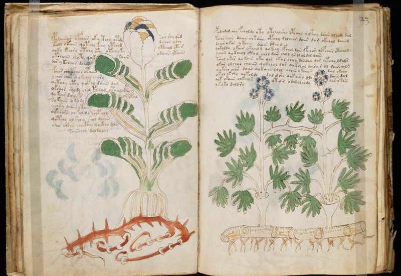 Voynich Manuscript-book-