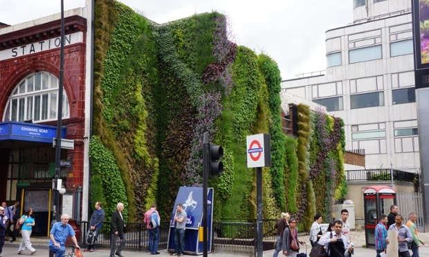 Water-producing billboard