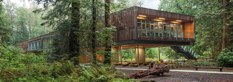 Western Red Cedar- McFarland Marceau Architects