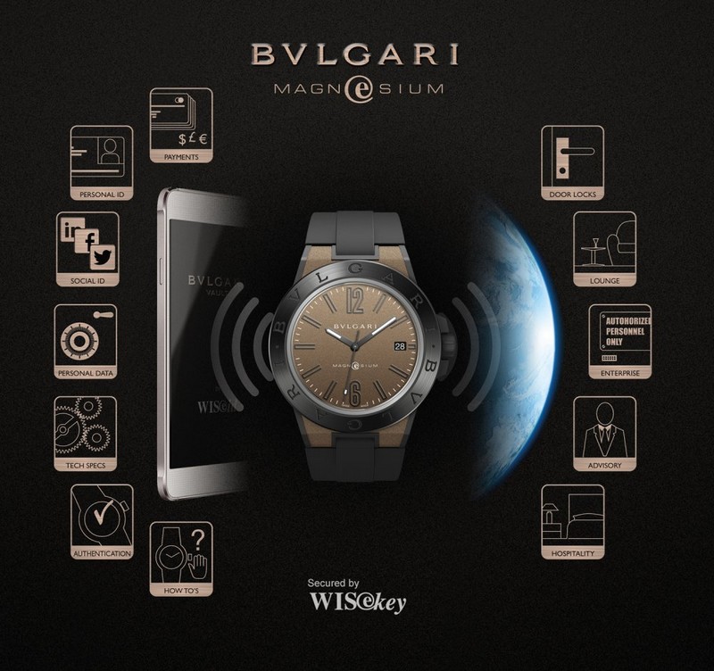 bulgari diagono e magnesium-explained