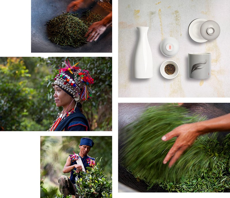 Luxury Line Cha Ling's Focus on Puer Resonates Globally - Tea Journey