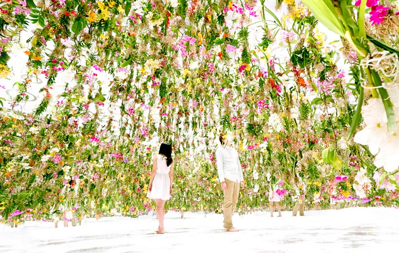 floating flower garden teamlab