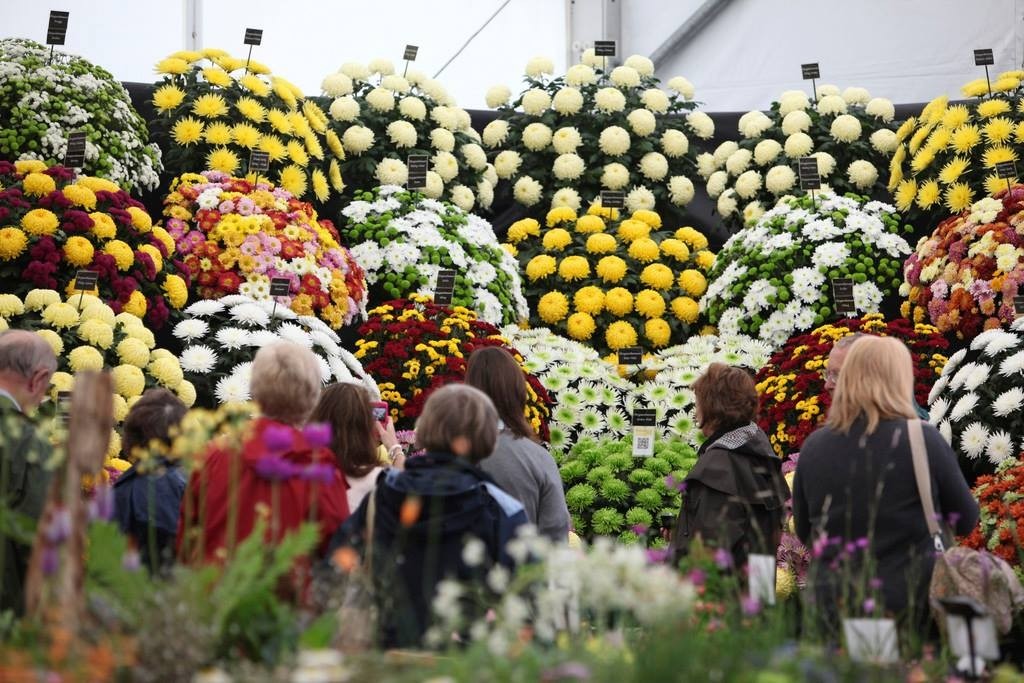 flowershow