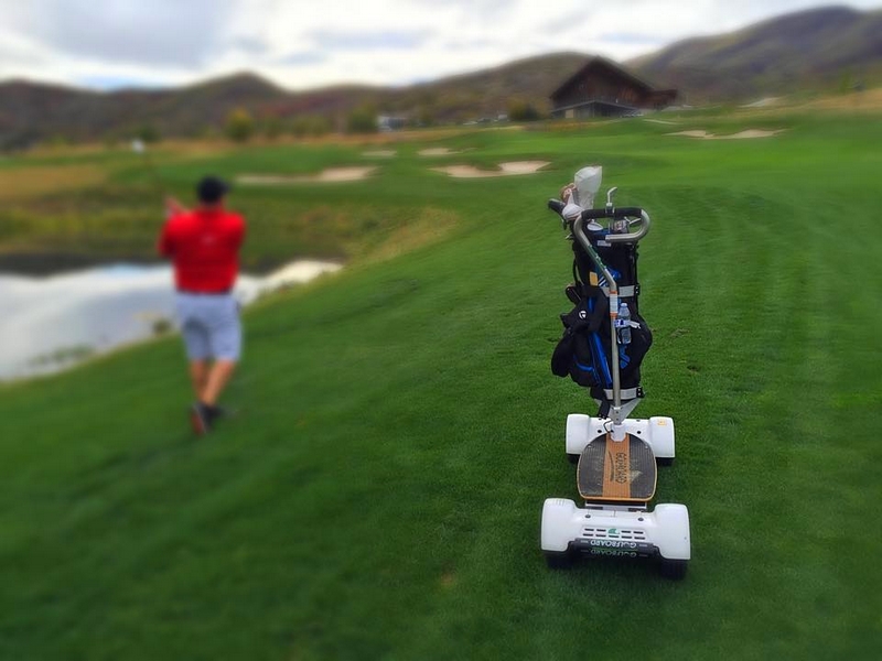 golfboard 2015 model--