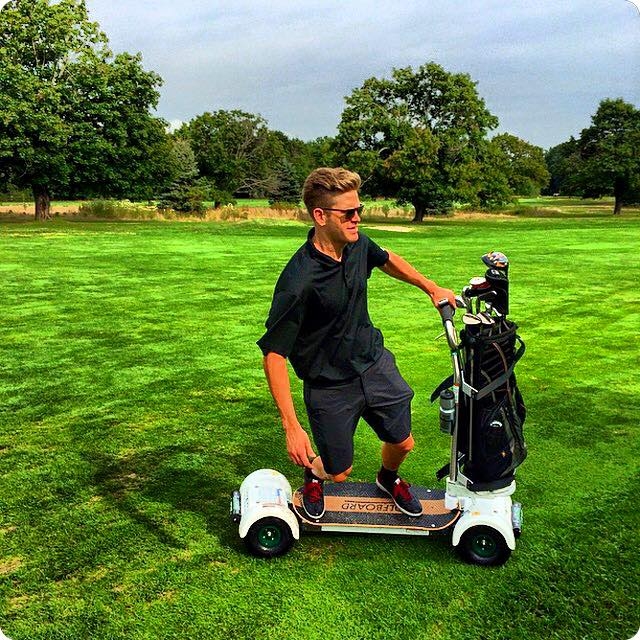 golfboard 2015 model---