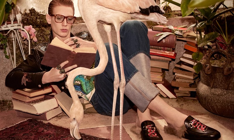 gucci ss 2016 falmingo campaign