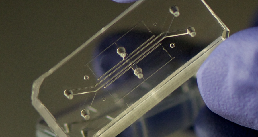 human organs-on-chips