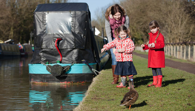 keep our ducks healthy - healthy food for ducks