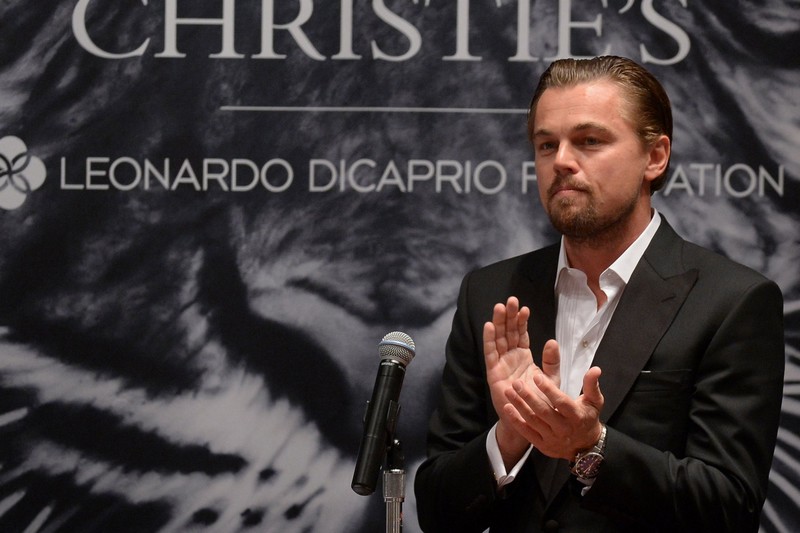 leonardo dicaprio foundation