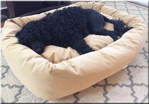 mammoth-dog-bed