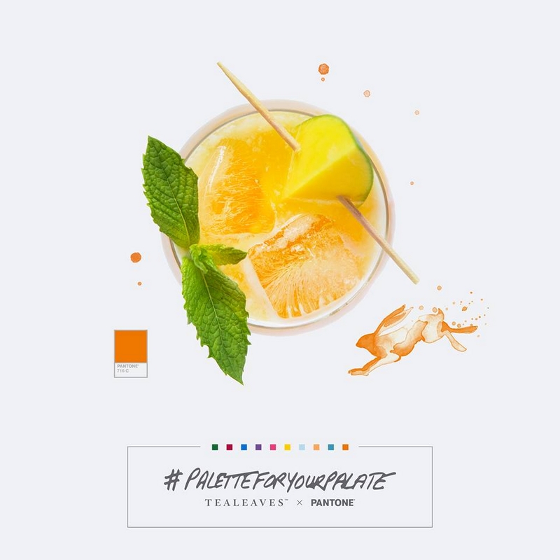 paletteforyourpalate-pantone-x-tealeaves