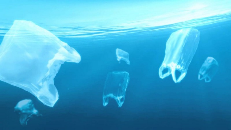 plastic bags ocean