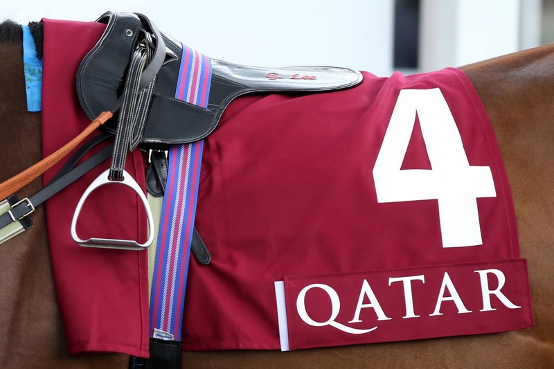 qatar race horse