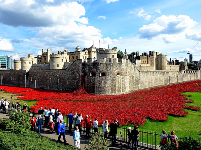 tower of london - Designer Tom Piper's art installation Blood Swept Lands and Seas of Red at the Tower of London