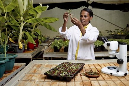 5 outstanding women scientists honoured with L’Oréal-UNESCO for Women in Science Awards