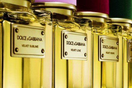 The Velvet collection fragrances: the essence of Dolce & Gabbana