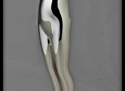 2012 CFDA Fashion Awards nominees and honorees