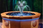 Musical Waters: Aquatic choreography for your garden