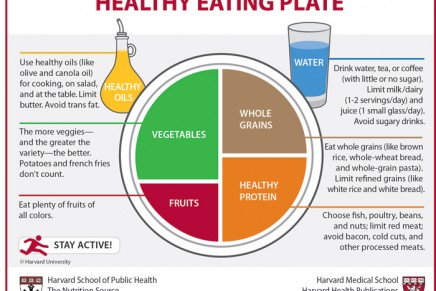 Go with plants. Vegetarian Harvard’s Healthy Eating Plate