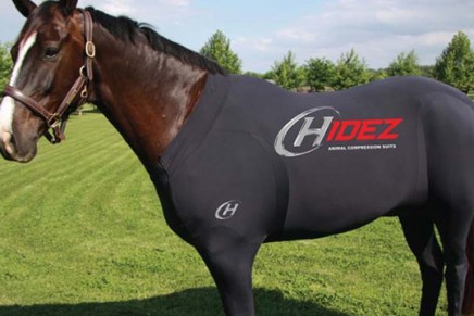 Dress your horse the way it deserves. The ultimate animal suit