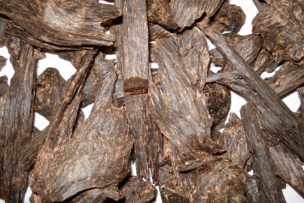 What you did not know about Oud