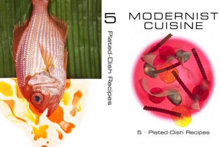 Modernist Cuisine’ was named Cookbook of the Year at the James Beard Foundation Awards