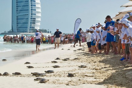 The Great Jumeirah Turtle Release