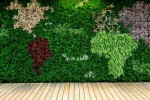 The world’s first self-contained, free-standing living wall at sea