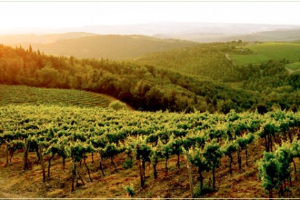 Best Wine Destinations 2012