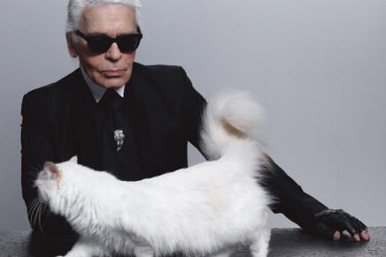 Karl Lagerfeld’s Parisian concept store to host limited-edition items from designer’s collaborations