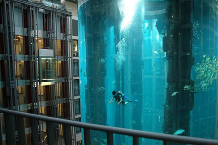 Sea life and diving without leaving the hotel