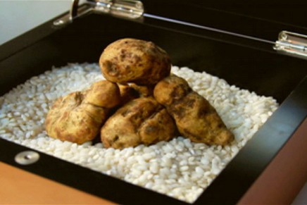 $26,000 white truffle dinner unveiled at Philadelphia Restaurant