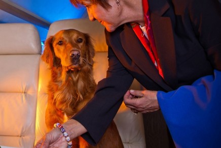 Luxury Air Traveling with pets: FURst Class Service