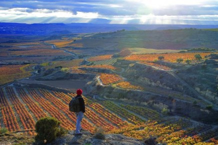 Wine traveler’s itinerary for 2013: Top 10 wine destinations