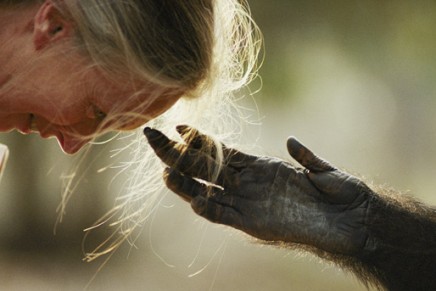 “50 Greatest Photographs of National Geographic” traveling exhibition