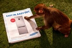 Easy In – Easy Out: Monkey thief. Sponsored video by Samsung