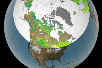 Amplified greenhouse makes North greener