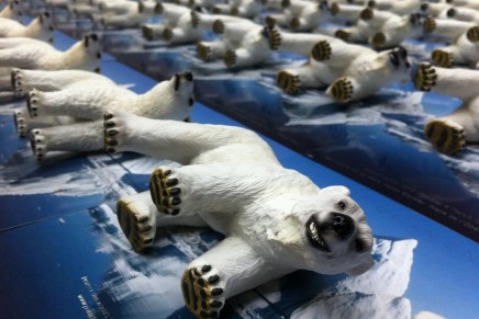 “The world once again had a chance to take action to safeguard polar bear populations and failed”