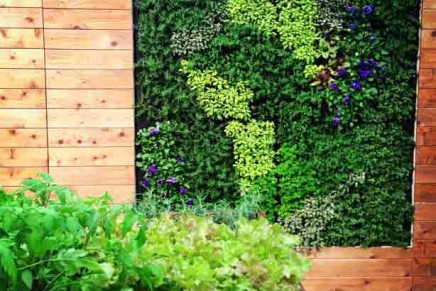 Green infrastructure: fresh herb vertical gardens